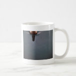 Northern Fulmar (dark phase) Mugs