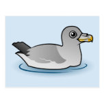 Northern Fulmar (intermediate) Postcard