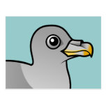 Northern Fulmar (intermediate) Postcard