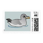 Northern Fulmar (intermediate) Stamp