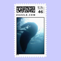 Northern Fur Seal - postage stamp stamps