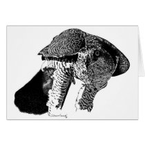 Northern Goshawk Greeting Cards