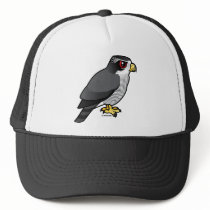 Northern Goshawk Hats
