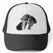 Northern Goshawk hats