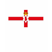 Northern Ireland Flag T-shirt