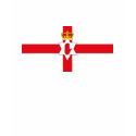 Northern Ireland Flag T-shirt
