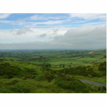 Northern Ireland photo sculptures