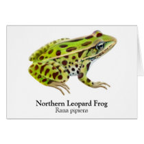 Northern Leopard Frog Greeting Card