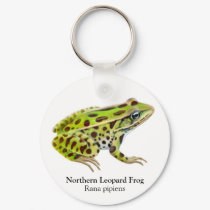 Northern Leopard Frog Keychain by twopurringcats Northern Leopard Frog Keychain