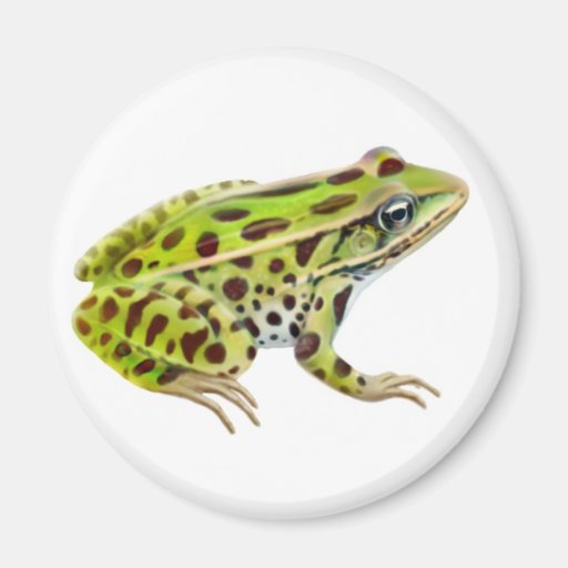Northern Leopard Frog Magnet