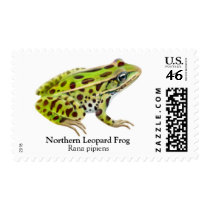 Northern Leopard Frog Postage