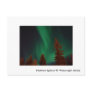 Northern lights at Ft. Wainwright, Northern lig... Post Cards
