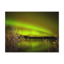 Northern lights (Aurora borealis) Post Cards