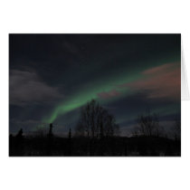 Northern Lights in Boreal Forest Cards