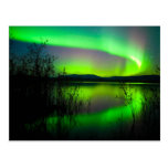 Northern lights mirrored on lake postcards