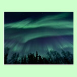 Northern Lights of Alaska postcards
