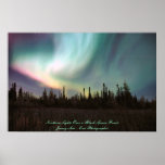 Northern Lights Over a Black Spruce Forest Posters
