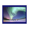 Northern Lights Postcard