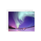 Northern Lights Shine in Alaskan Sky postcard