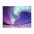 Northern Lights Shine in Alaskan Sky Postcard