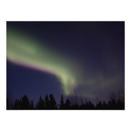 Northern Lights with a Streak of Purple Art Photo