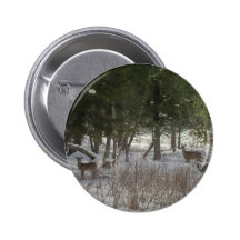 Northern Maine 38 Pin