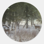 Northern Maine 38 Stickers