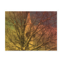 Northern Maine 44 postcards