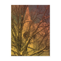Northern Maine 44 postcards