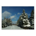 Northern Maine 8 cards by nmpics Northern Maine 8 cards