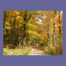 Northern ME Trail posters