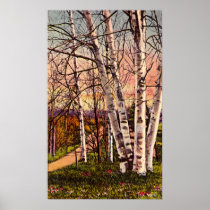 Northern Michigan Birch Trees in Spring Poster