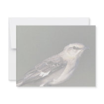 Northern Mockingbird invitations by animalpark Northern Mockingbird invitations