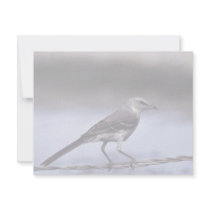Northern Mockingbird invitations by animalpark Northern Mockingbird invitations
