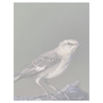 Northern Mockingbird letterhead by animalpark Northern Mockingbird letterhead
