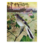 Northern Mockingbird Post Card
