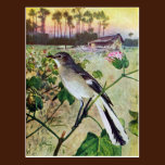 Northern Mockingbird postcards