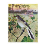 Northern Mockingbird Post Card
