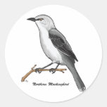 NORTHERN MOCKINGBIRD ROUND STICKERS