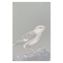 Northern Mockingbird stationery by animalpark Northern Mockingbird stationery