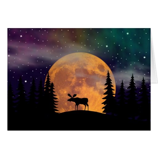 Northern Nights- Northern Lights Card