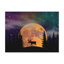 Northern Nights- Northern Lights Postcards