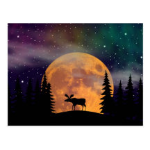 Northern Nights- Northern Lights Postcards