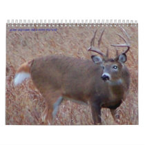 Northern North Dakota Deer Pictures calendars