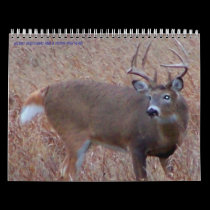 Northern North Dakota Deer Pictures calendars