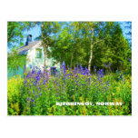 Northern Norway Postcard