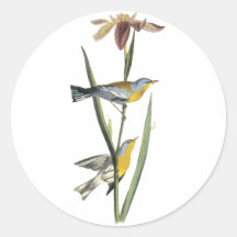Northern Parula, John Audubon Stickers