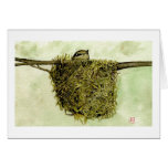 Northern Parula Nest Greeting Cards