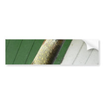 Northern Pike bumper stickers by lifesphere Northern Pike bumper stickers