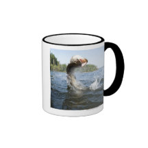 Northern Pike jumping out of water in a lake. Coffee Mug